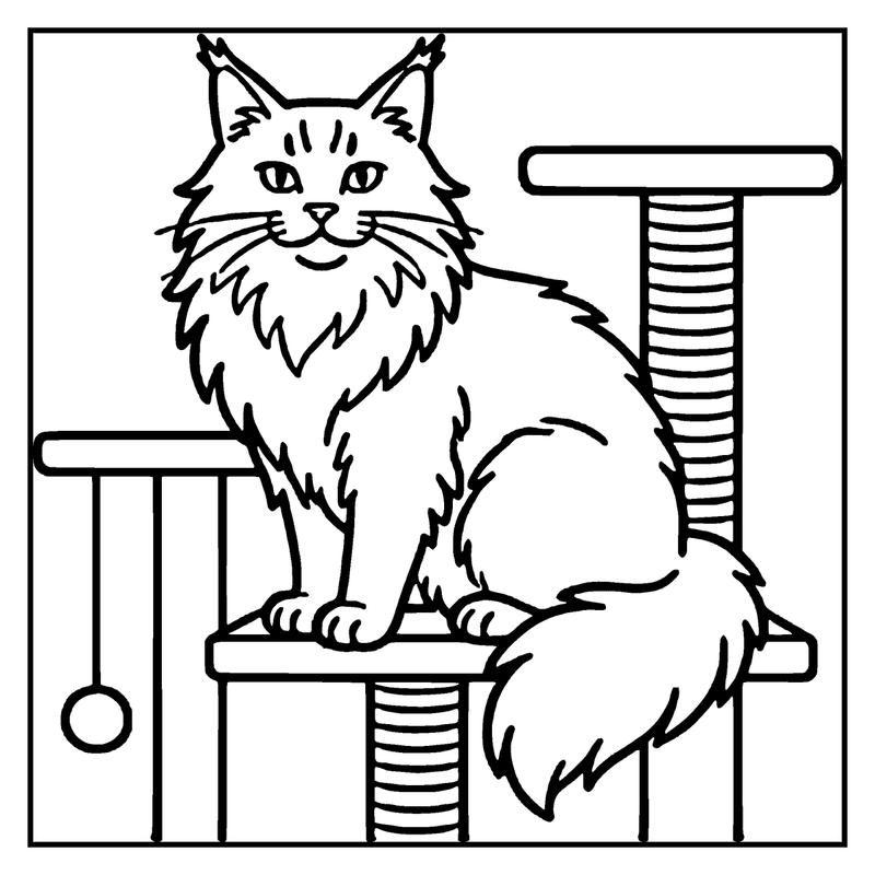A fluffy cat sits on a cat tree, scratching post, and toy ball, looking content