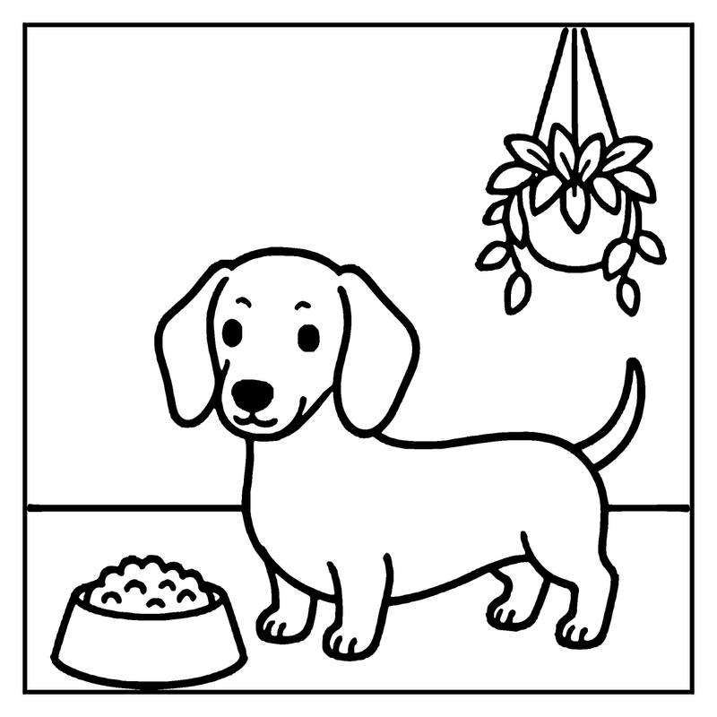 A dachshund stands next to a bowl of food, with a hanging plant in the background, a dog coloring page