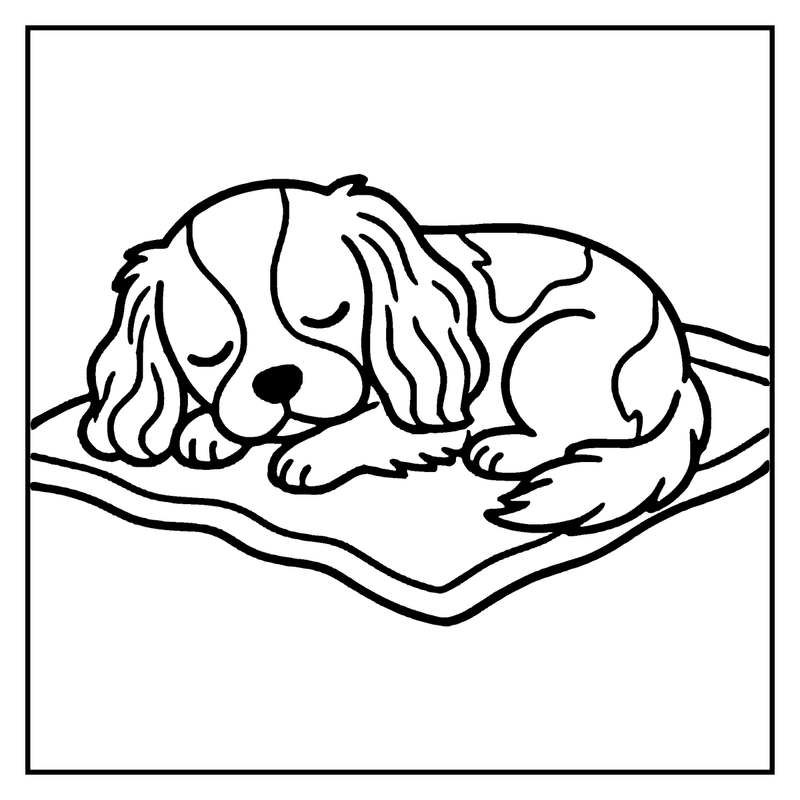 A sleeping dog is curled up on a blanket, eyes closed, tail relaxed, a dog coloring page