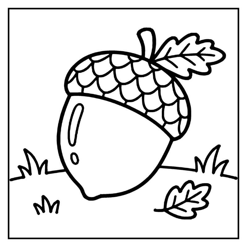 An acorn with a leafy cap, lying on grass, a fall coloring page