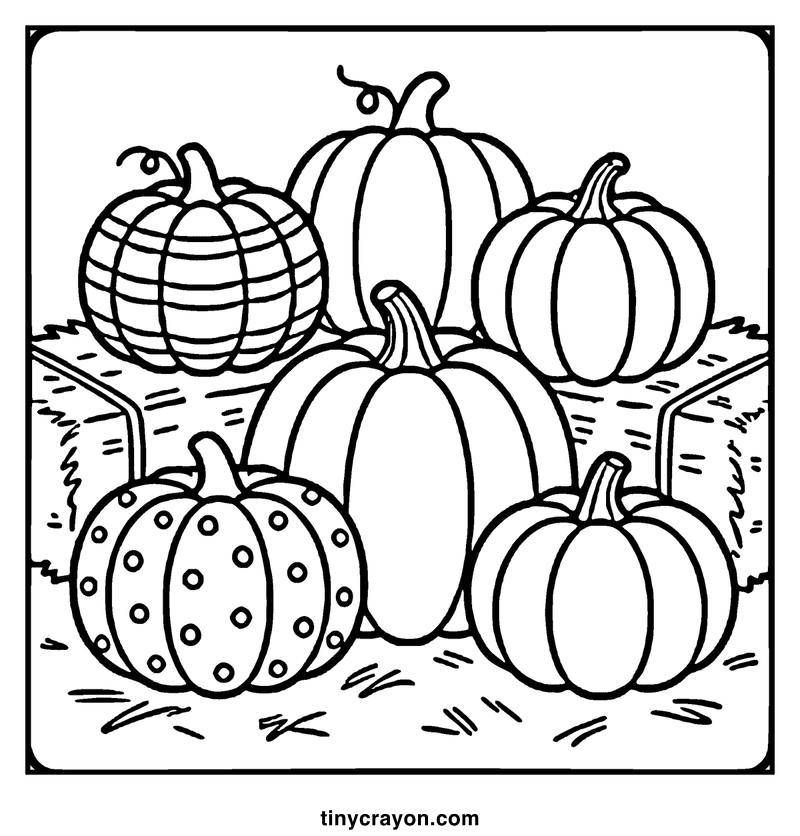 Group of pumpkins and hay bales, a fall coloring page