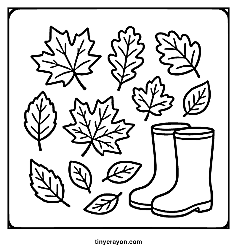 Pair of rubber boots surrounded by various autumn leaves, a fall coloring page