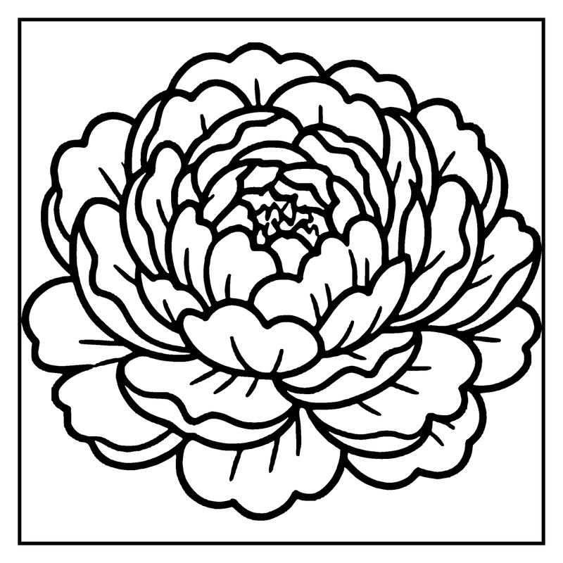 A large, detailed flower with multiple layers of petals is depicted in black and white