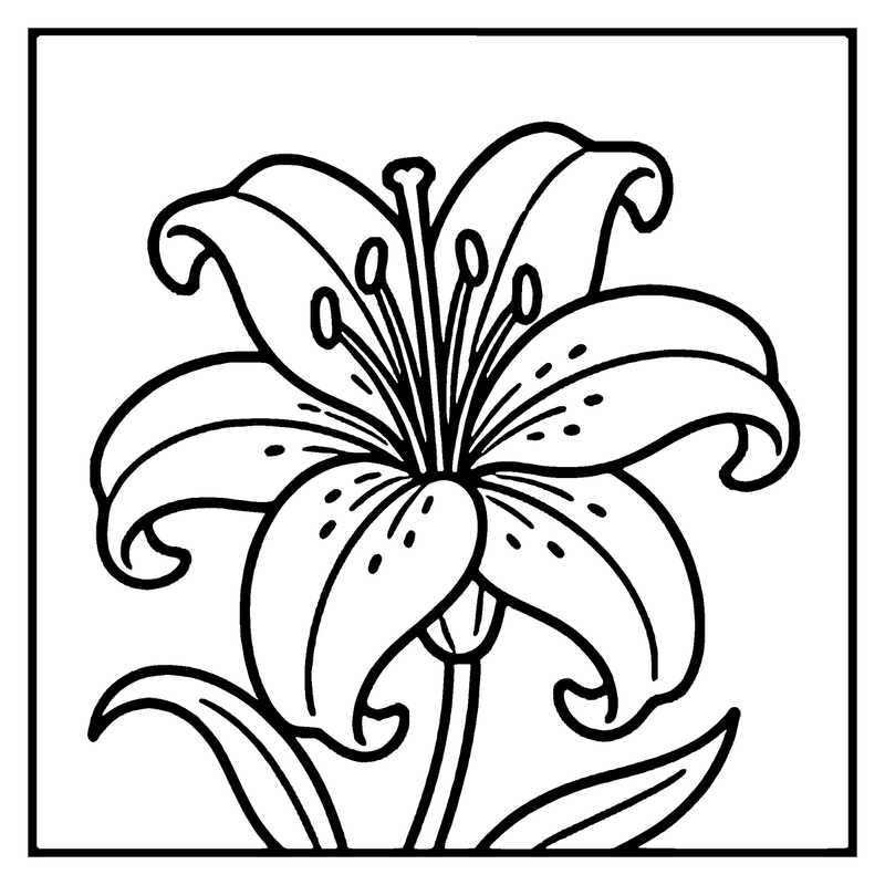 A lily flower is blooming with six petals and a long stem
