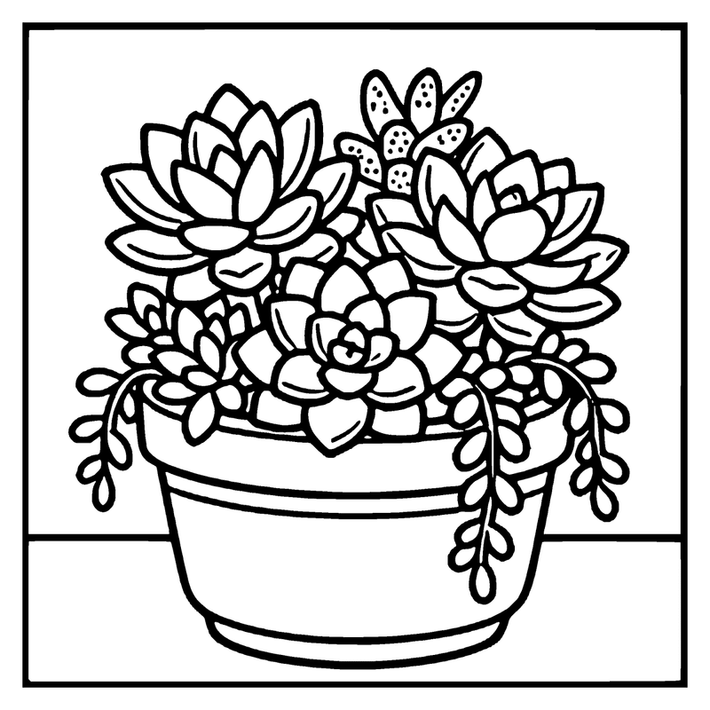 A potted succulent plant with various leaf shapes and colors sits on a white surface, a flower coloring page