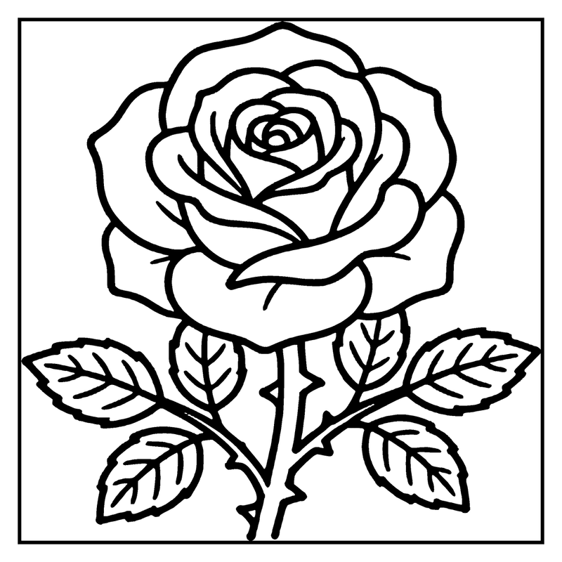 A rose flower is blooming with five petals and a stem with leaves