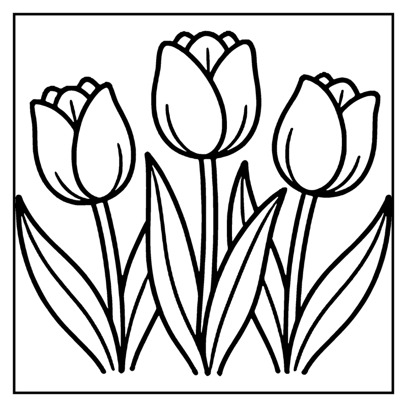 Three tulips are blooming in a simple, black and white drawing, a flower coloring page