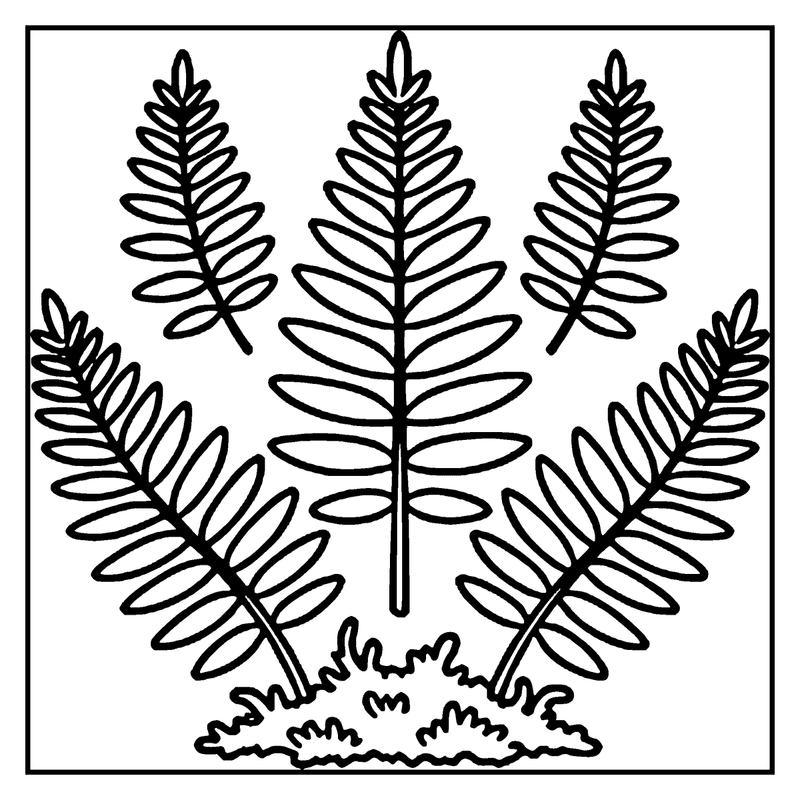 A fern plant with three fronds and a small patch of grass at the base, a leaf coloring page
