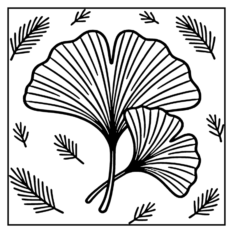 A large, fan-shaped leaf with smaller leaves around it