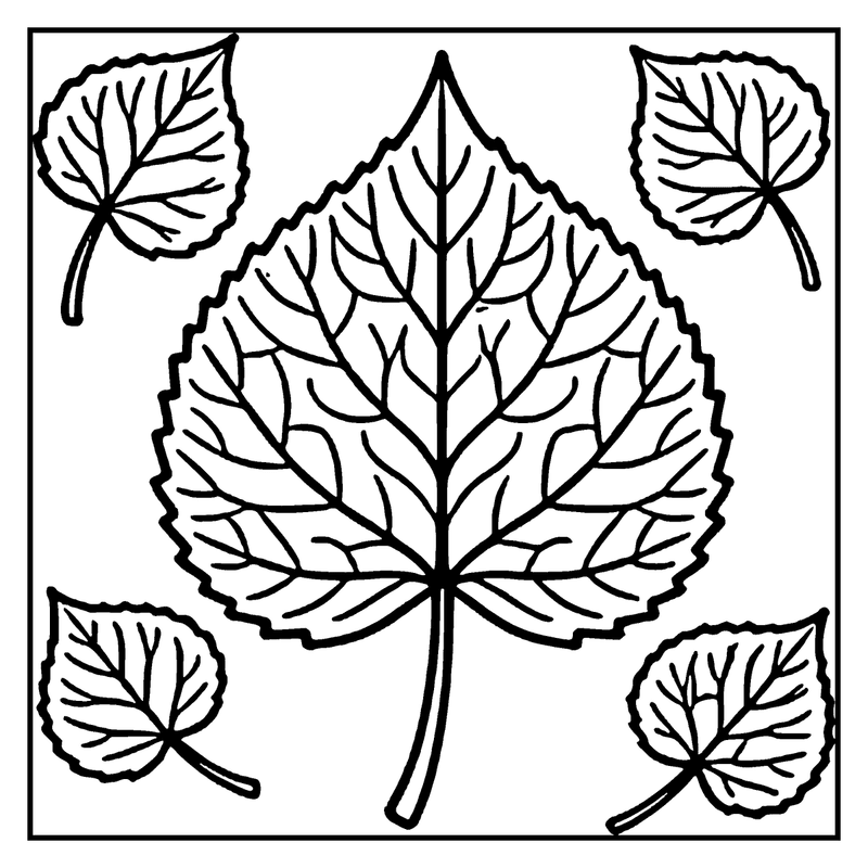 A large leaf with a stem and five smaller leaves around it