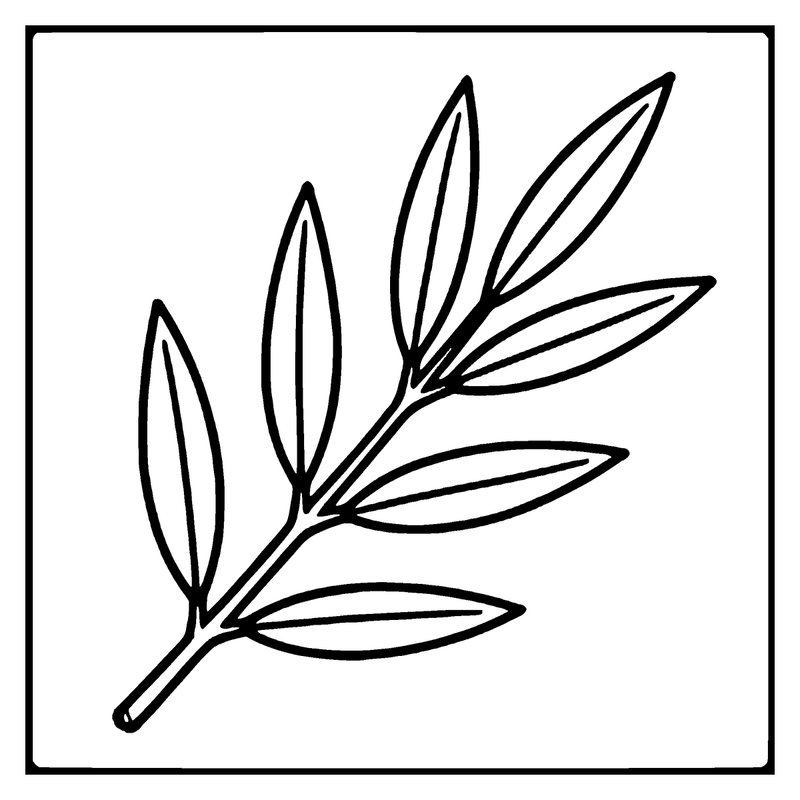 A simple black and white drawing of a leaf with a stem, set against a plain background