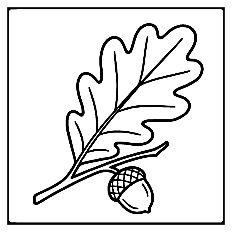 A simple black and white drawing of an oak leaf and acorn