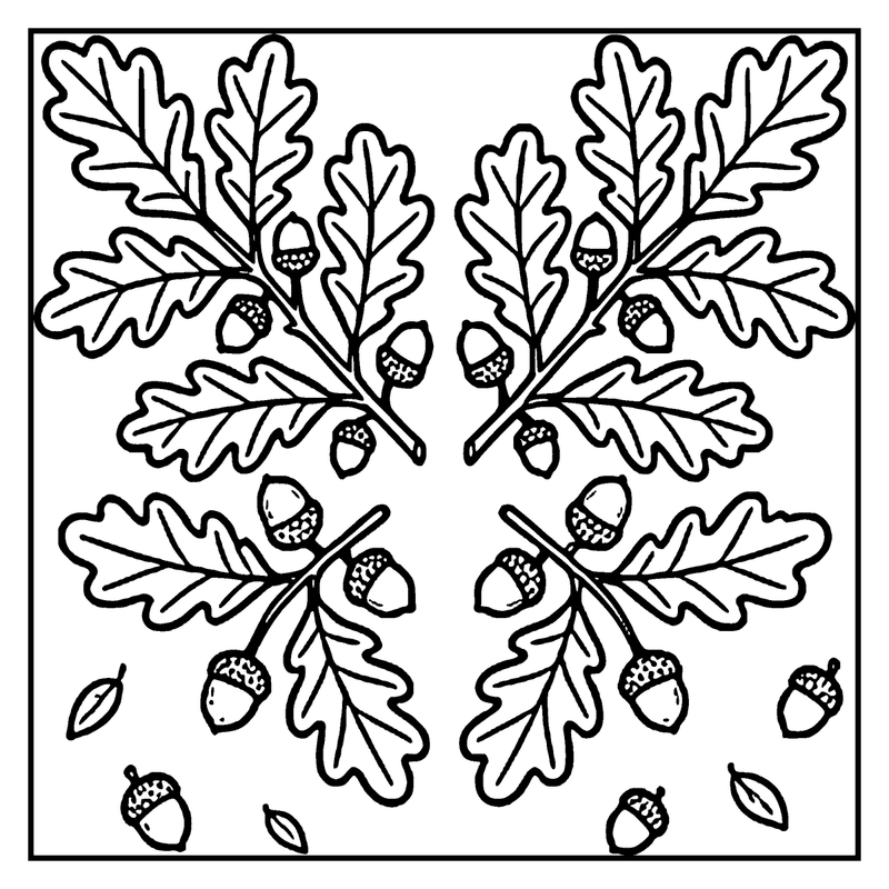 This drawing depicts a snowflake made of oak leaves and acorns, with a white background, a leaf coloring page