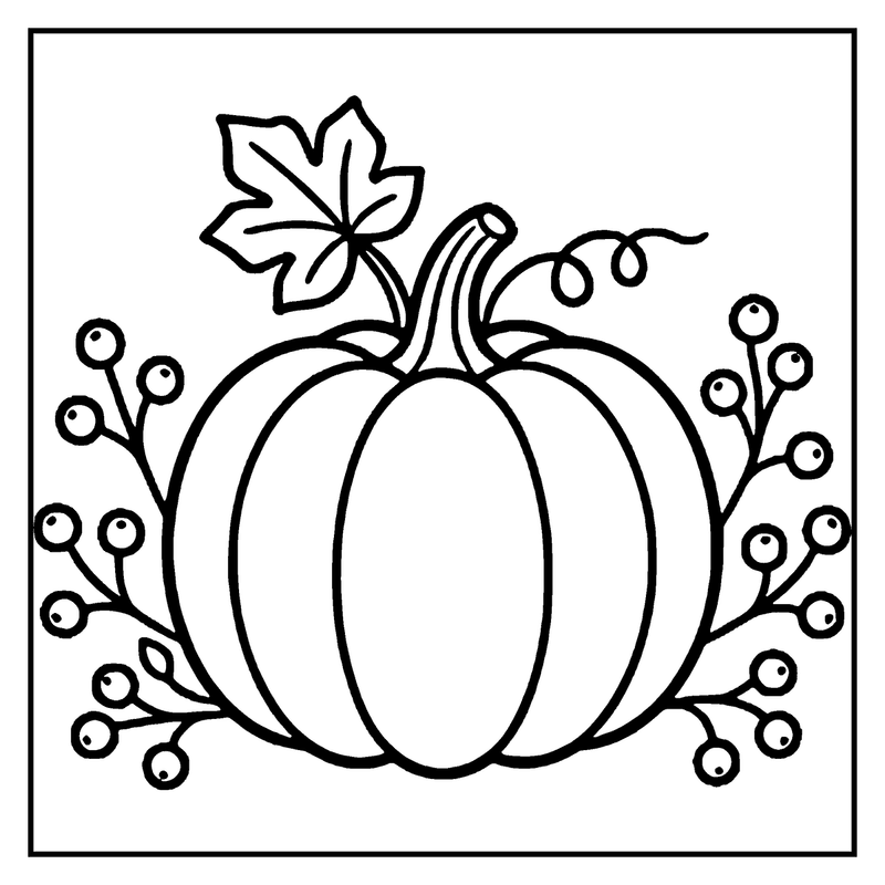 A pumpkin with a leaf and berries, surrounded by a simple, black and white drawing