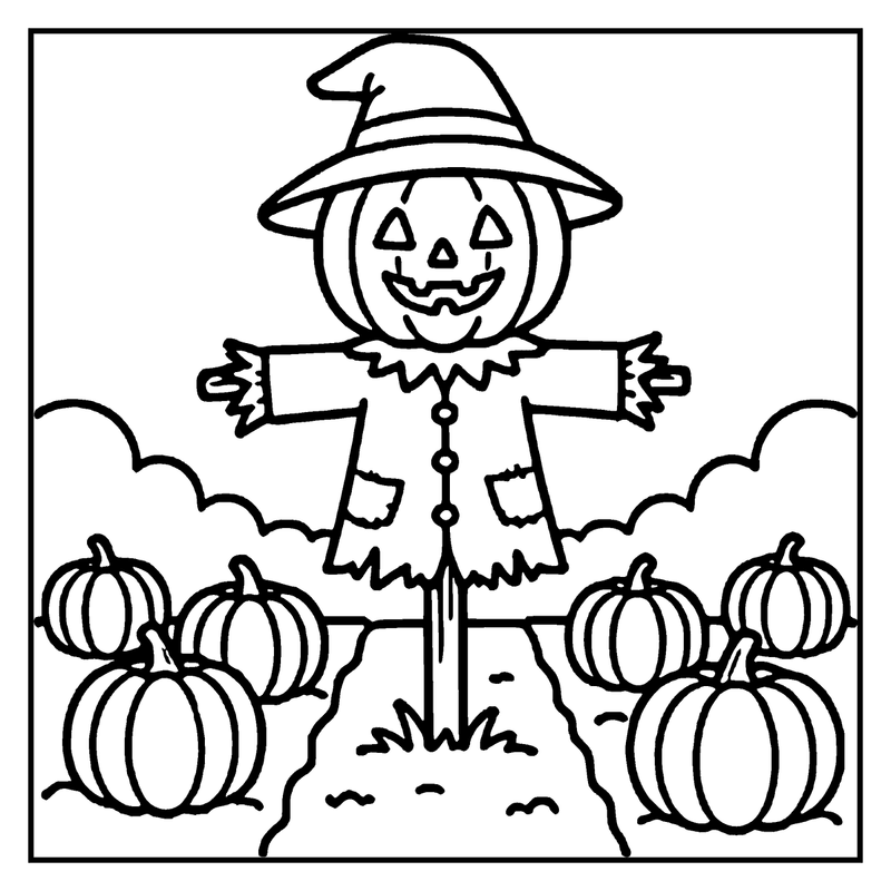 A scarecrow with a pumpkin head, hat, and pockets stands in a field with pumpkins