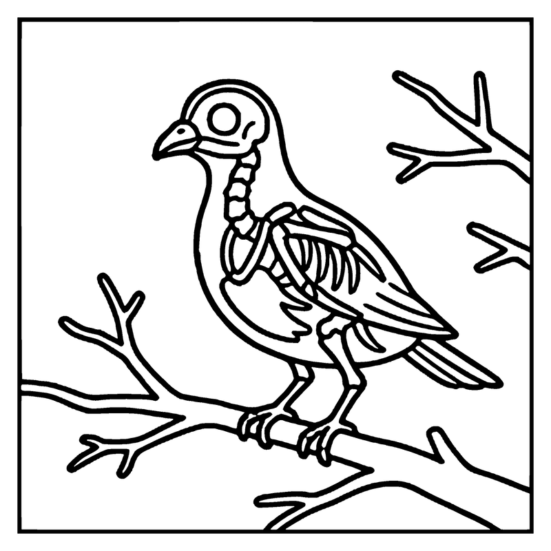 A bird skeleton is perched on a bare branch, surrounded by leafless twigs, a skeleton coloring page