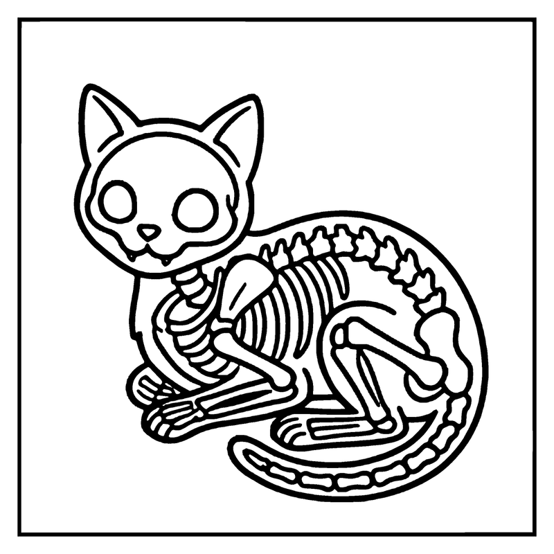 A cute cat skeleton is sitting on the ground, with its bones clearly visible, a skeleton coloring page