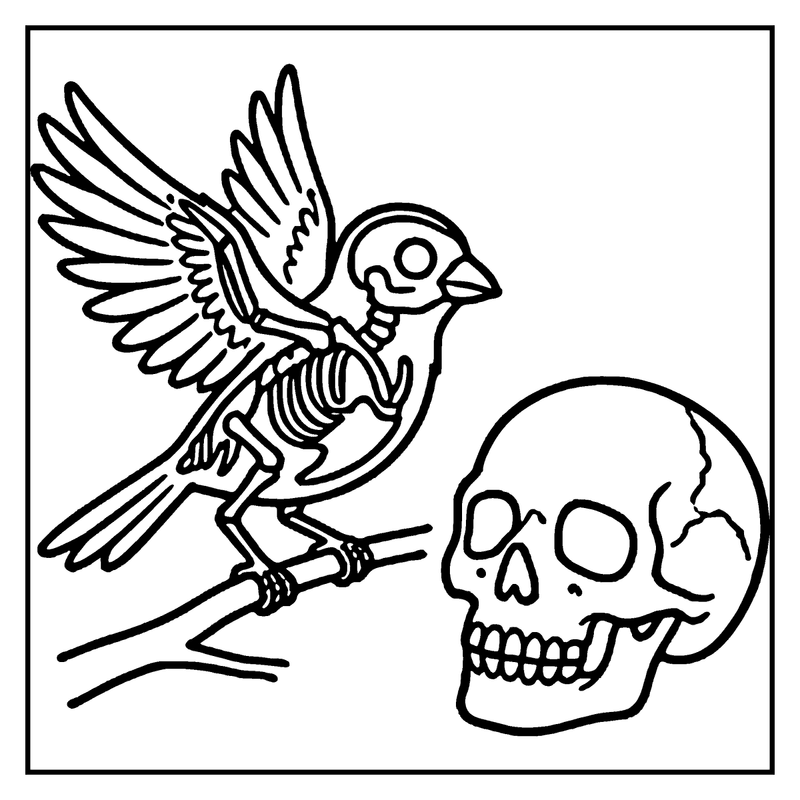 A skeleton bird is perched on a branch next to a skull, both in black and white, a skeleton coloring page