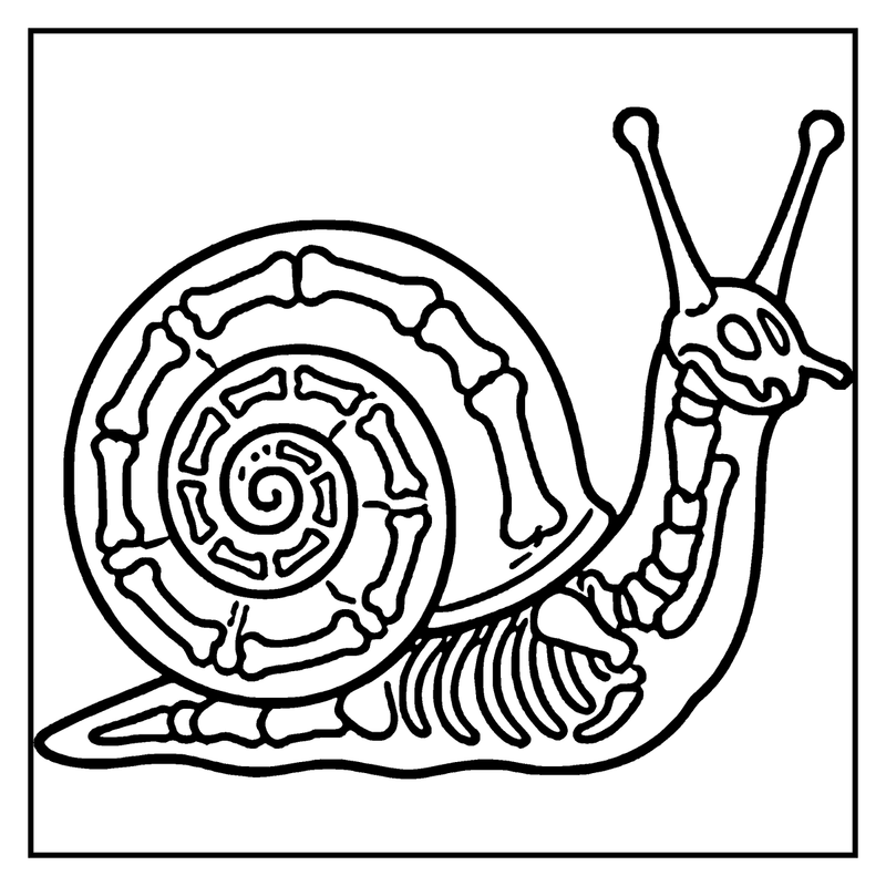 A skeleton snail with bones spiraling through its shell and two antennae raised, a skeleton coloring page