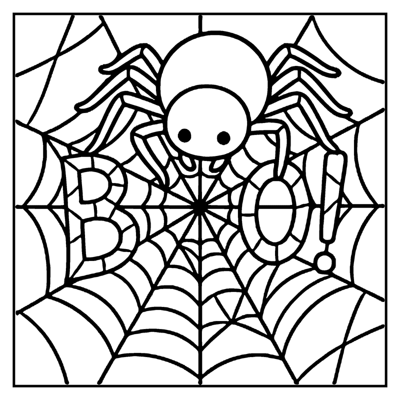 A cute spider is sitting in its web, with a surprised expression