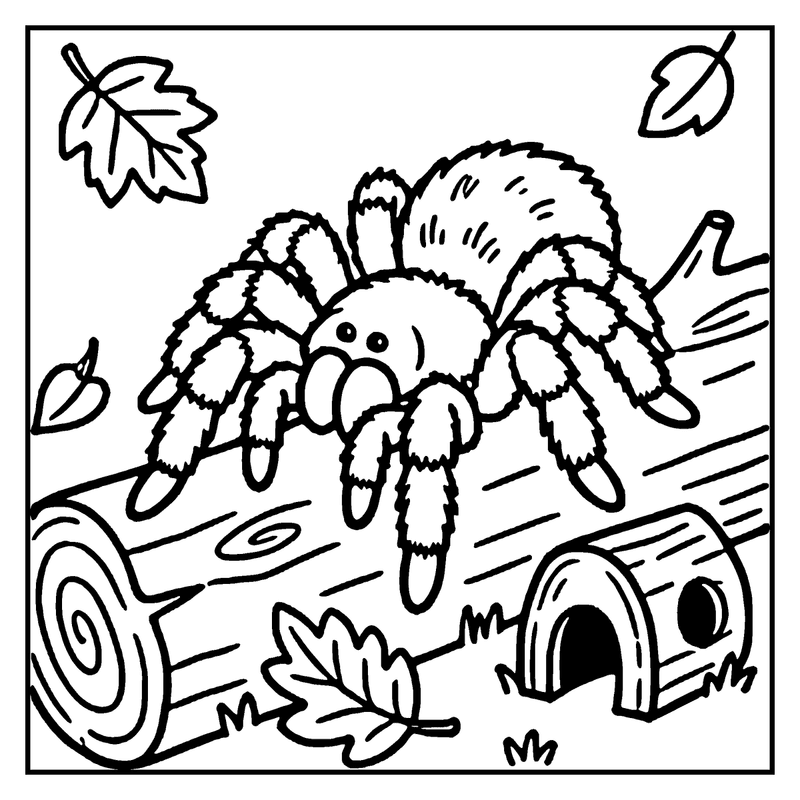 A large spider is climbing on a log, with leaves falling around it