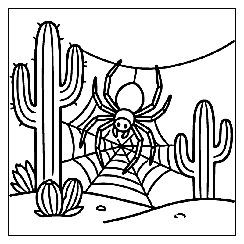 A spider is building a web in a cactus-filled desert