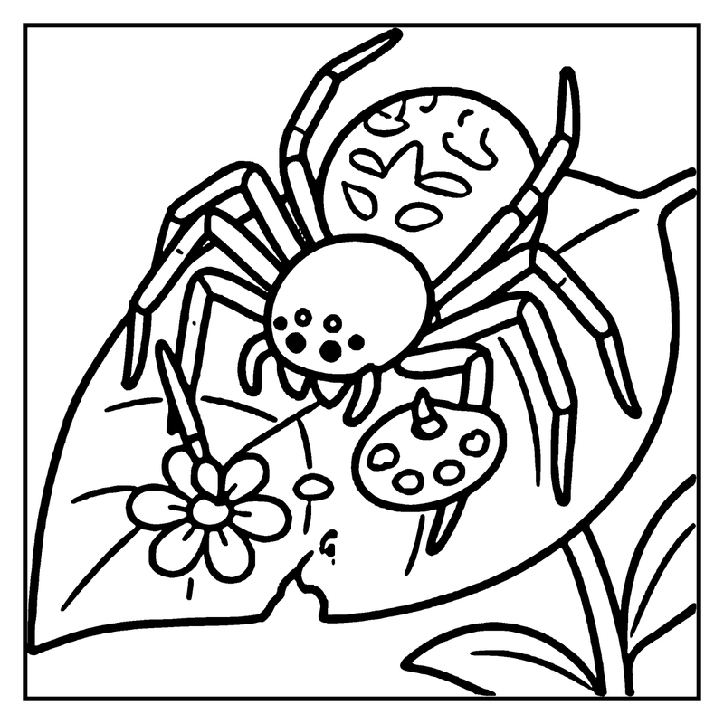 A spider is sitting on a leaf, holding a flower and a paint palette