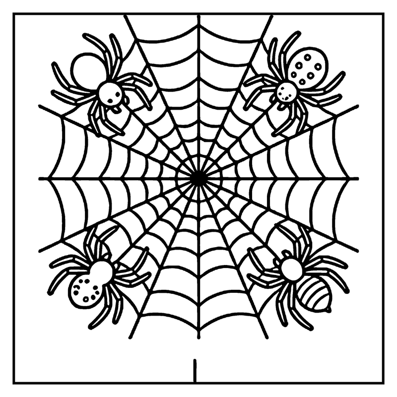 A spider web with four spiders, each with a different pattern, in a black and white drawing